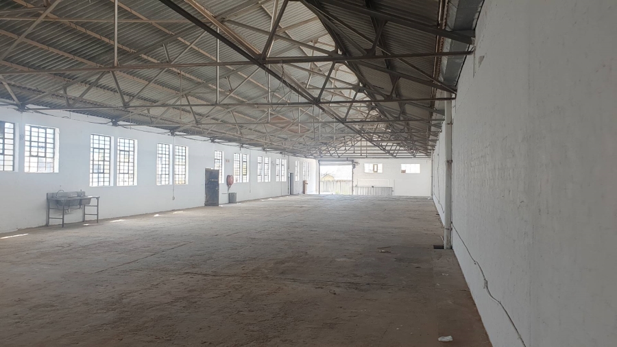 To Let Commercial Property for Rent in Salt River Western Cape